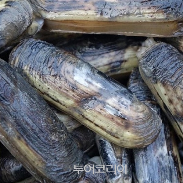 다움food 이미지