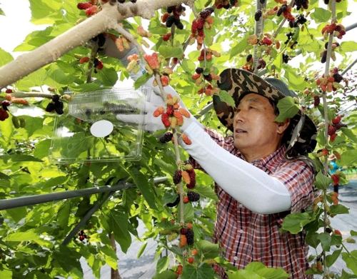 오디 이미지