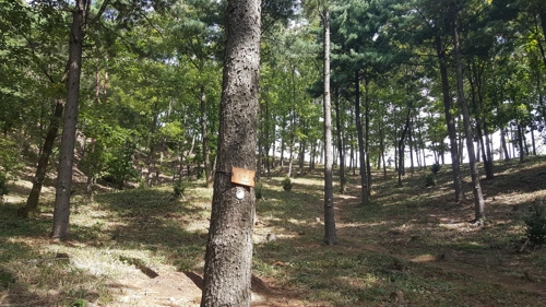 한국산림복지진흥원하늘숲추모원 이미지