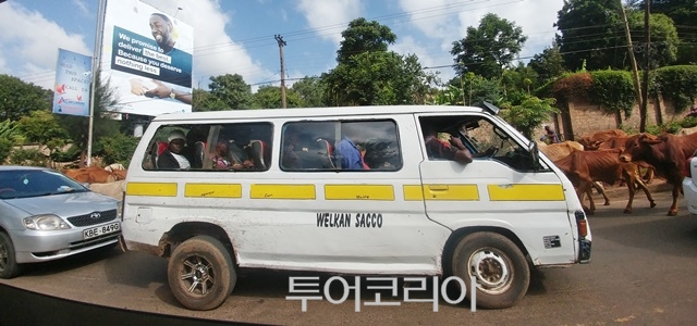 폴레폴레 이미지