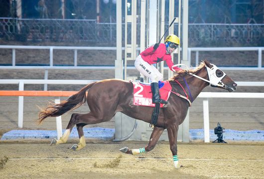 최강축산 이미지