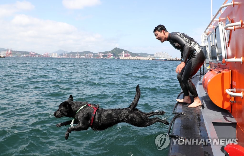 투투 이미지
