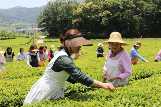 보림농원 이미지