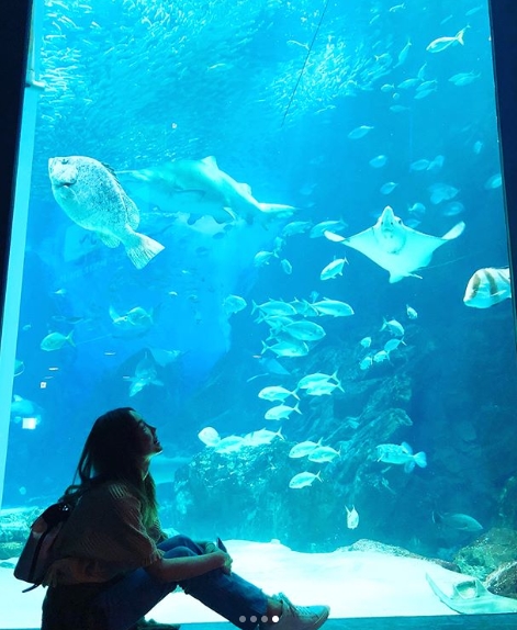 Taeyeon, who is about to make a comeback, has revealed his relaxed daily life.Taeyeon released several photos taken at the aquarium on his instagram on June 16. Fans attention was focused on Taeyeons innocent daily life.The netizens are responding to the Comments, I want to go to play with you and I am beautiful with my debut.pear hyo-ju