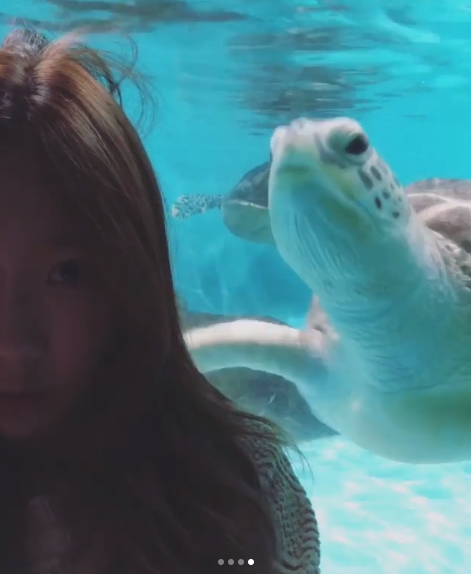 Taeyeon, who is about to make a comeback, has revealed his relaxed daily life.Taeyeon released several photos taken at the aquarium on his instagram on June 16. Fans attention was focused on Taeyeons innocent daily life.The netizens are responding to the Comments, I want to go to play with you and I am beautiful with my debut.pear hyo-ju