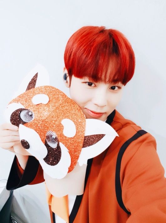 Hanna Ones Ha Sung-woon has unveiled King of Mask Singer behind-the-scenes cut.Wanna One released a photo of Wanna One Ha Sung-woon, who appeared as a Lesser Panda on King of Mask Singer through official SNS on the 17th.In the open photo, Ha Sung-woon is making a bright smile with the Lesser Panda mask.Ha Sung-woon, a lovely charm that smiles like a cheerful smile on the appearance of King of Mask Singer, attracts attention.Wanna One said, Reser Panda, which melted the frozen hearts of many people with a beautiful voice, was Hanna Ones Ha Sung-woon. I sing well, I work out well, I dance well!Ha Sung-woon, a universal player, please love me more in the future. Ha Sung-woon missed the mask in the third round of the King of Mask Singer.Ha Sung-woon commented on the appearance of King of Mask Singer and said, I wanted to sing only.I was working as Wanna One and I was doing a lot of dance songs, so the stage where I sing euphemism alone was not uncommon. People talk a lot about seeing it in Infinite Challenge.I was wondering if you would recognize it only with my voice. Wanna One has been good with Kim Jae-hwan and Hwang Min-hyun. Ha Sung-woon said, The two have advised a lot.I actually thought that I could continue to sing, but I am confident that I am helping you today, he said.Wanna One Official SNS