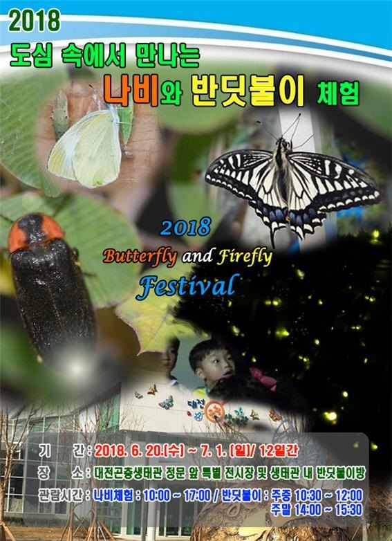 반딧불이 이미지
