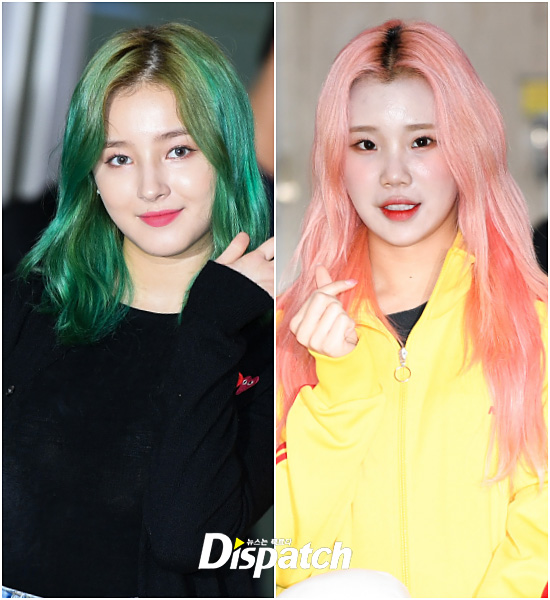 컬러풀헤어 이미지