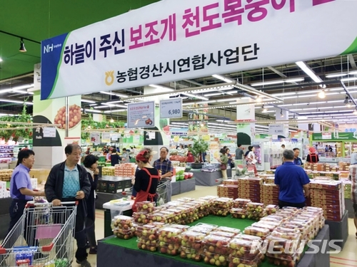 세종할인마트 이미지