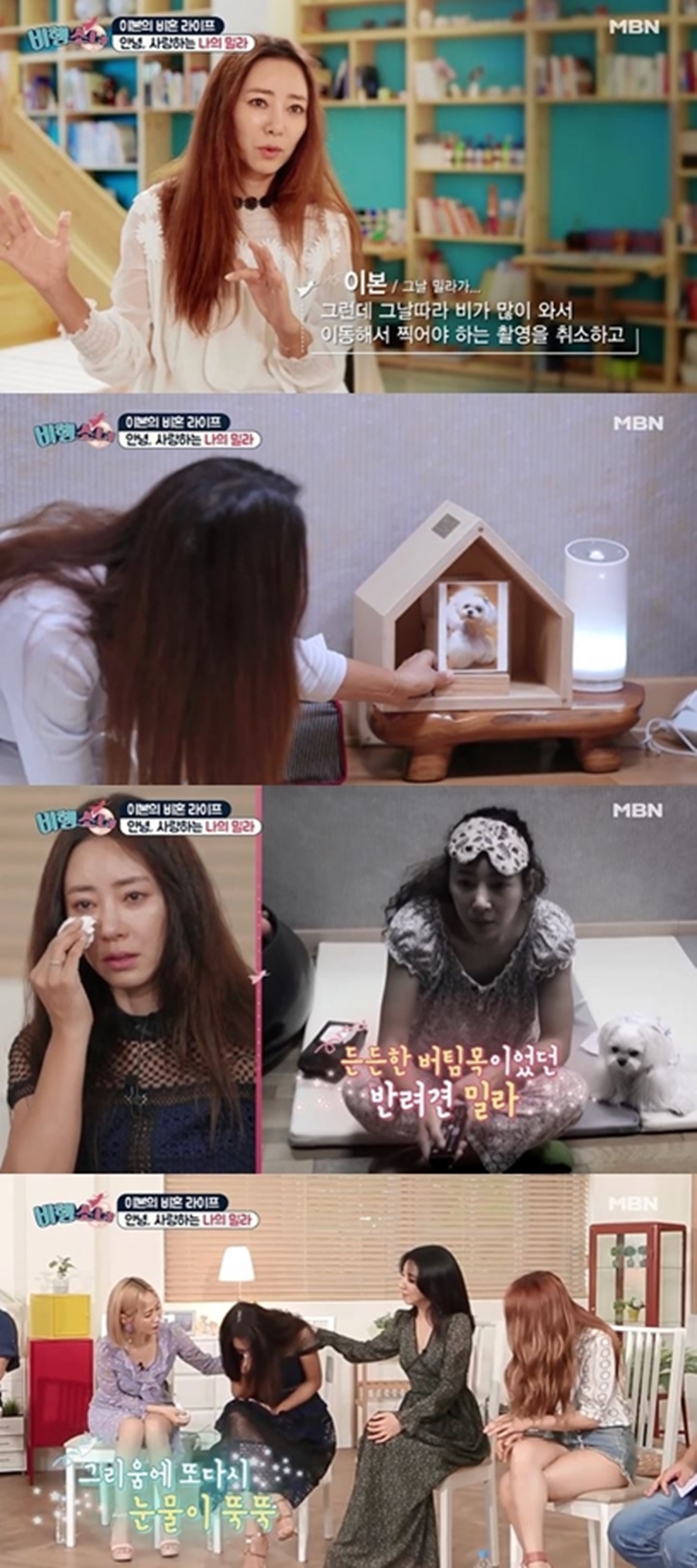 이본가 이미지