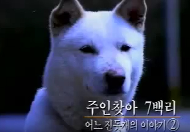 세진광고 이미지
