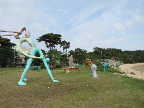 바다의 형제 이미지