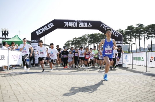 콜러노비타 이미지