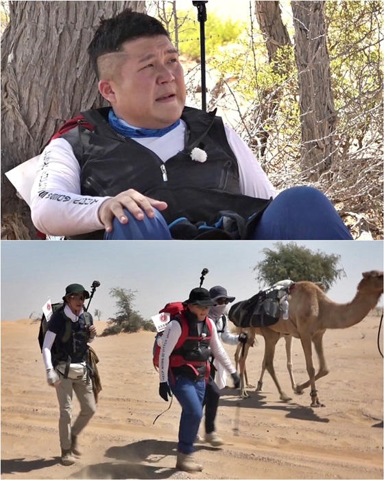 사막녹화 이미지