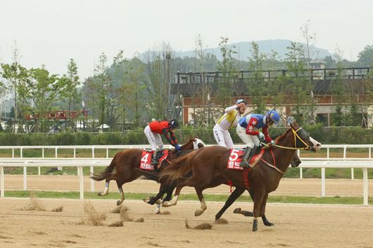 우승축산 이미지