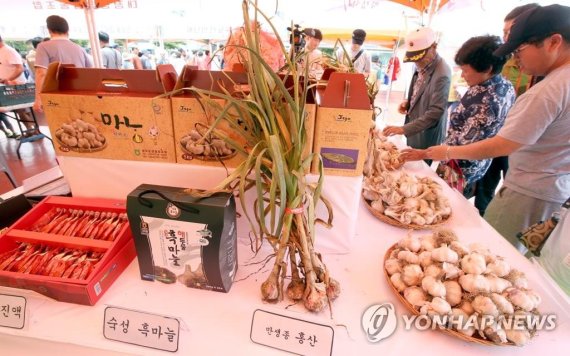 대정 이미지