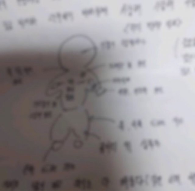 사진=온라인 커뮤니티