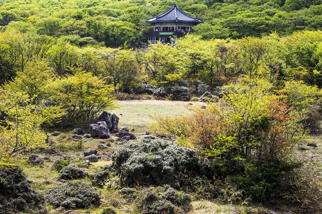 제주 1100고지습지의 그림 같은 풍경. 한국관광공사 제공.