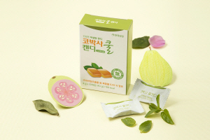 쿨건강관리 이미지