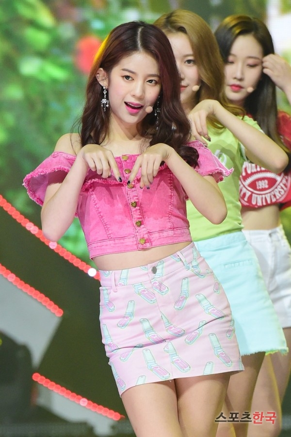 오프더데이지 이미지
