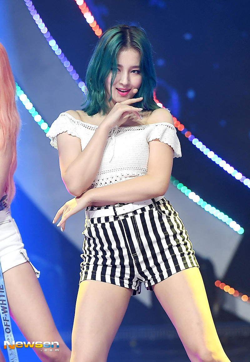 오프더데이지 이미지