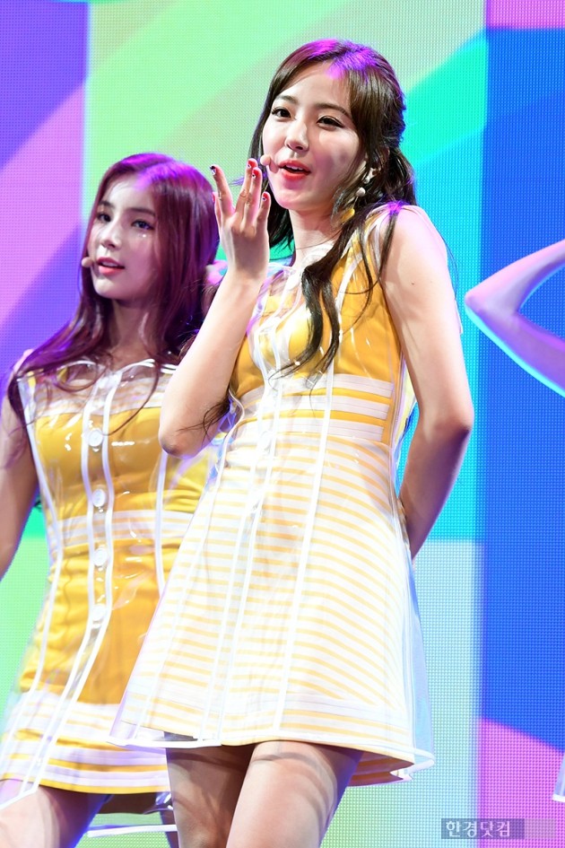 혜성닷컴 이미지