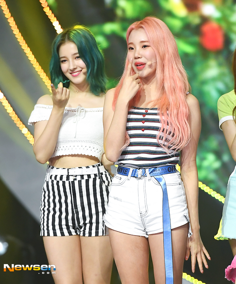 오프더데이지 이미지