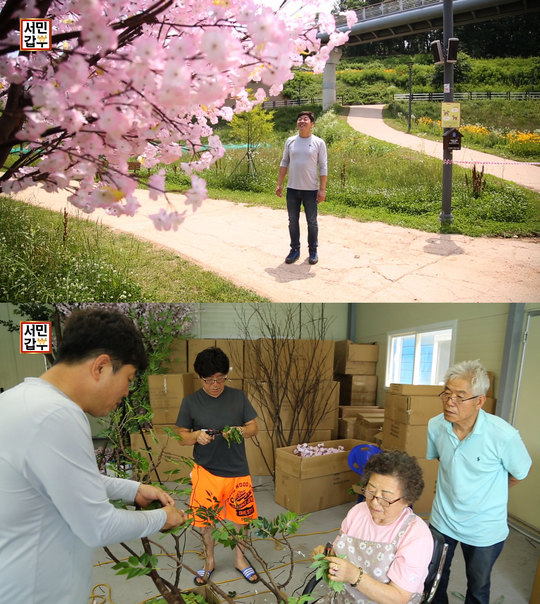 달성나무병원 이미지