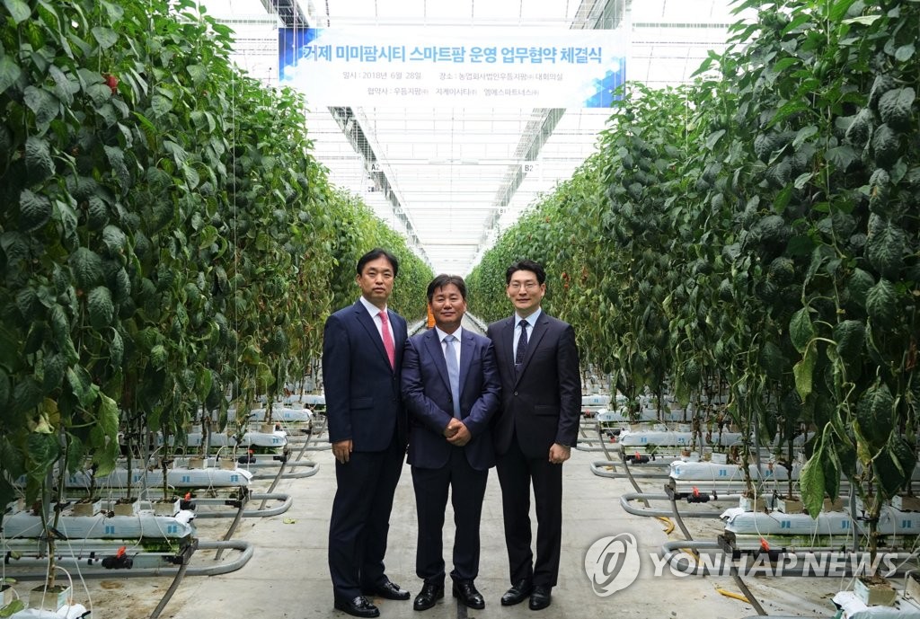 엠에스파트너스 이미지