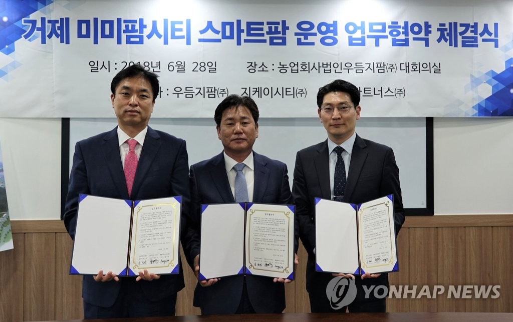 엠에스파트너스 이미지