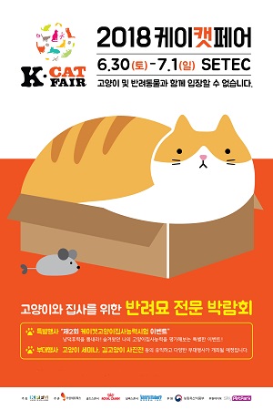 케이네트웍스 이미지