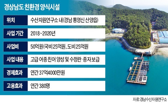 고급양식 이미지