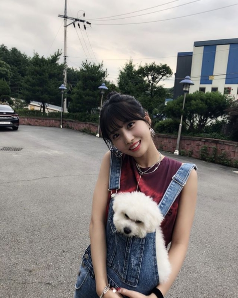 A friendly once sent by group TWICE member MOMO with Pet Hulk was revealed.TWICEs official Instagram posted a photo on July 6 with an article entitled MOMO and Hulk. Both are like dog names and not like names.The photo shows the MOMO holding Pet Hulk in his arms, the MOMO smiling brightly, holding Pet Hulk in his suspender pants.MOMOs lively look and Pet Hulks cute figure catch the eye.The fans who responded to the photos responded that Both are so cute, I do not know who is a puppy when I look at my name and MOMO seems to be pretty day by day.delay stock