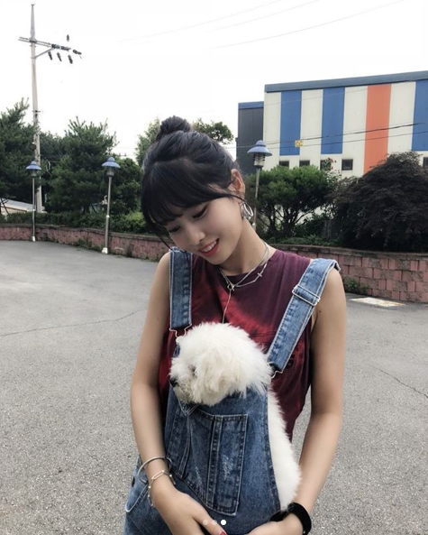 A friendly once sent by group TWICE member MOMO with Pet Hulk was revealed.TWICEs official Instagram posted a photo on July 6 with an article entitled MOMO and Hulk. Both are like dog names and not like names.The photo shows the MOMO holding Pet Hulk in his arms, the MOMO smiling brightly, holding Pet Hulk in his suspender pants.MOMOs lively look and Pet Hulks cute figure catch the eye.The fans who responded to the photos responded that Both are so cute, I do not know who is a puppy when I look at my name and MOMO seems to be pretty day by day.delay stock