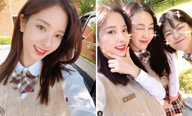 보나 이미지