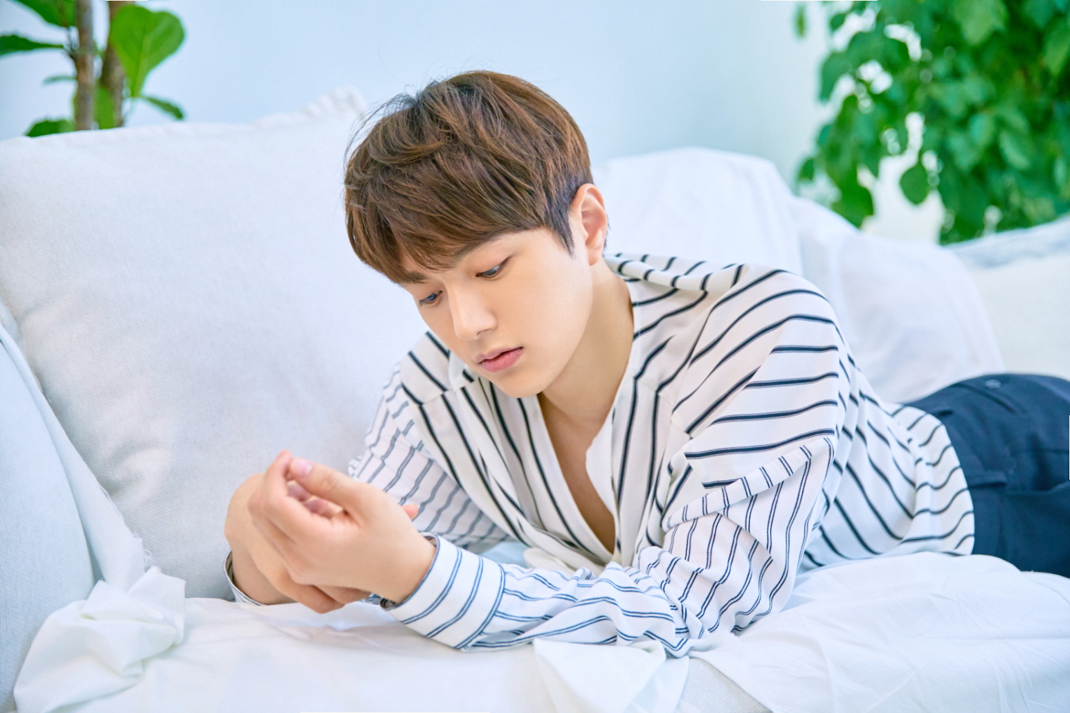 엘이네 이미지