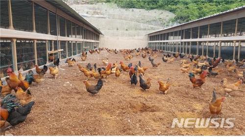 경북자원개발 이미지