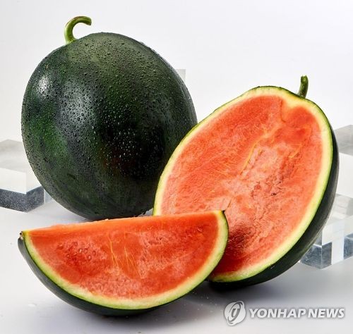 수박 이미지