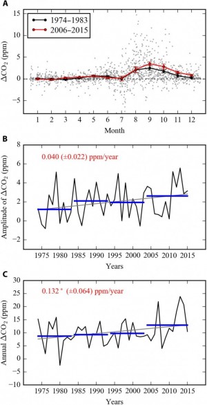 위부터 월별 대기중 이산화탄소 농도 변화량 비교(빨간색이2006년 이후), 이산화탄소 농도의 변동폭(해가 갈수록 월별 변동폭이 커짐), 그리고 연간 농도 변화(해가 갈수록 많아짐). -사진 제공 사이언스 어드밴시스