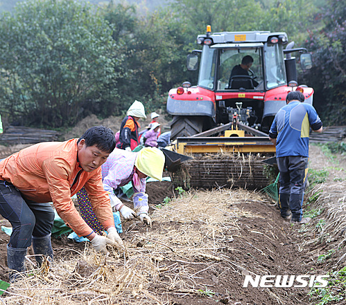 산지농산 이미지