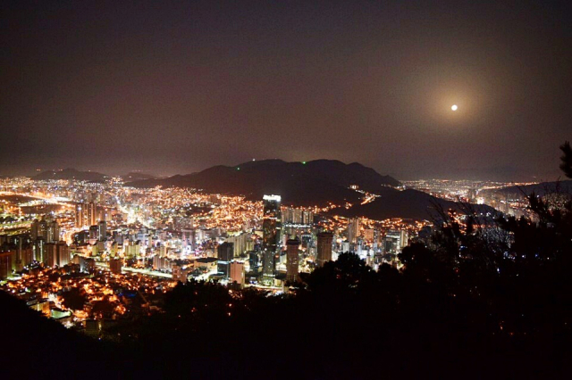 트립호스트 이미지