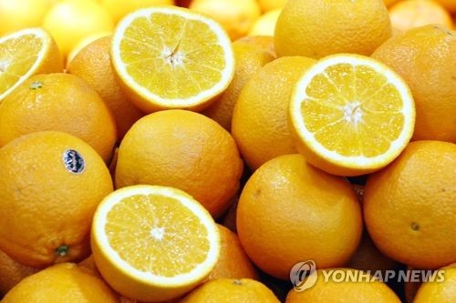오렌지 이미지