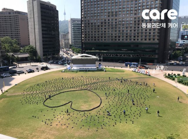 토리기획 이미지