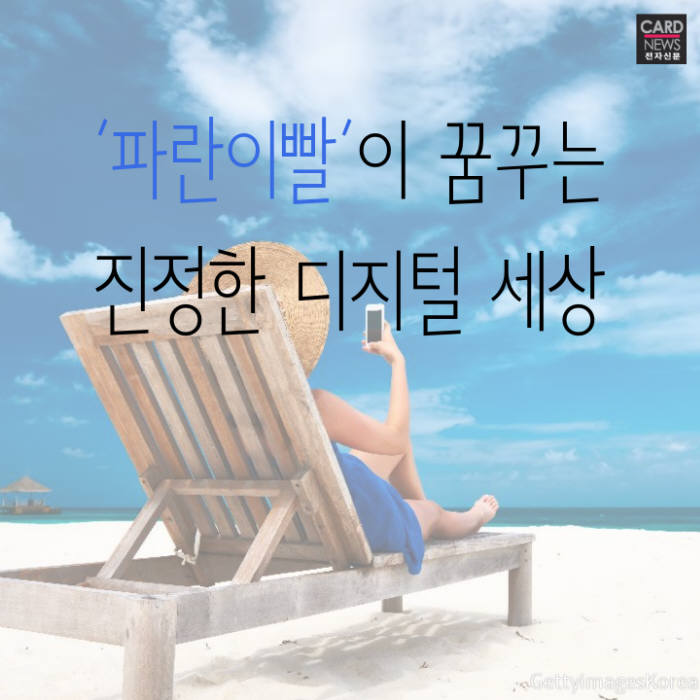 파란세상 이미지