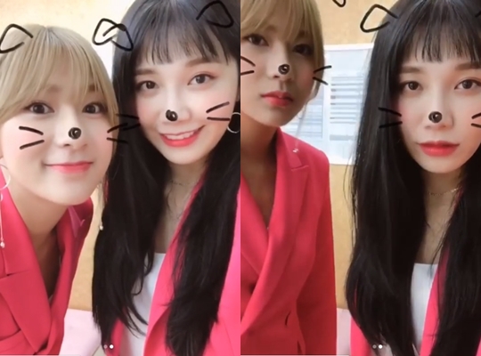 Group Apink members Jung Eun-ji and Oh Ha-young have emanated a cute charm.Jung Eun-ji wrote on his Instagram account on July 17, I love pink suits. Ha Young is in celebrity play. Im scared. I think I should be my brother.The main vocalist is also looking for a lot of work, so I still sweat my back. The video showed Jung Eun-ji and Oh Ha-young dressed in pink suits; the two dressed up as puppies through a mobile phone application.The two smiled brightly, and when Oh Ha-young said, Thank you, he showed a straight line and laughed at the viewer.The fans who responded to the video responded such as It is so beautiful, There is no pretty corner, It is a pink suit.delay stock