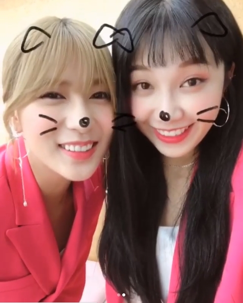 Group Apink members Jung Eun-ji and Oh Ha-young have emanated a cute charm.Jung Eun-ji wrote on his Instagram account on July 17, I love pink suits. Ha Young is in celebrity play. Im scared. I think I should be my brother.The main vocalist is also looking for a lot of work, so I still sweat my back. The video showed Jung Eun-ji and Oh Ha-young dressed in pink suits; the two dressed up as puppies through a mobile phone application.The two smiled brightly, and when Oh Ha-young said, Thank you, he showed a straight line and laughed at the viewer.The fans who responded to the video responded such as It is so beautiful, There is no pretty corner, It is a pink suit.delay stock