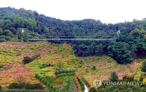 봉화산 이미지