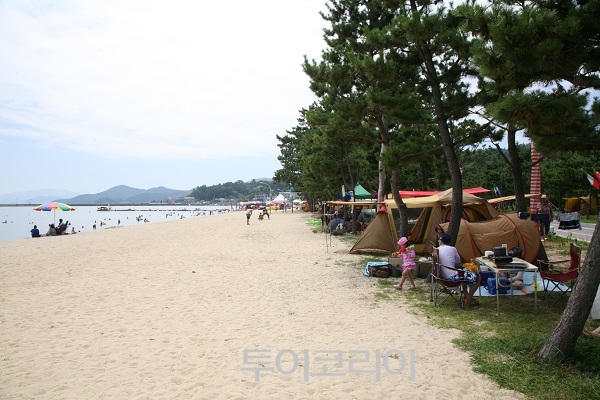 솔밭 이미지