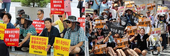 대한반려동물협회 이미지