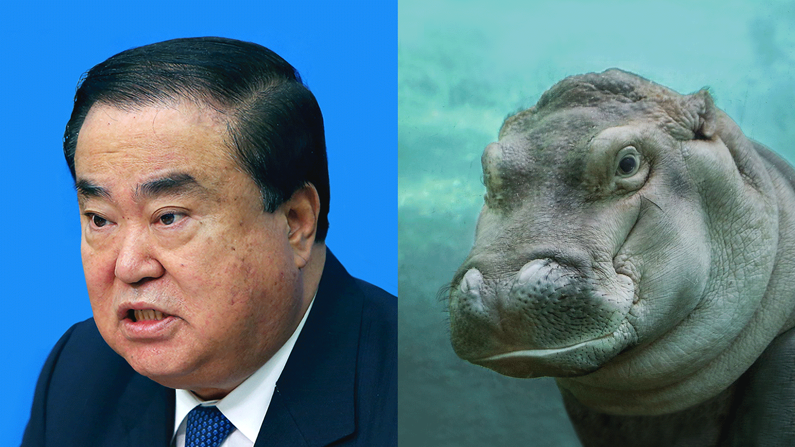 문희상 국회의장은 하마상, 정세균 前국회의장은 너구리상이다. [사진 백재권]